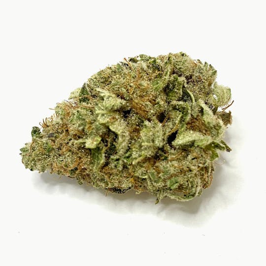 Indico - Chem Beyond Diesel - 1