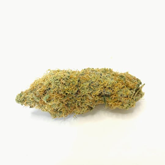 Indico - Agent Orange - 1