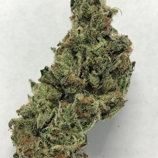Iron Lung (Medical) - GG5 - 1