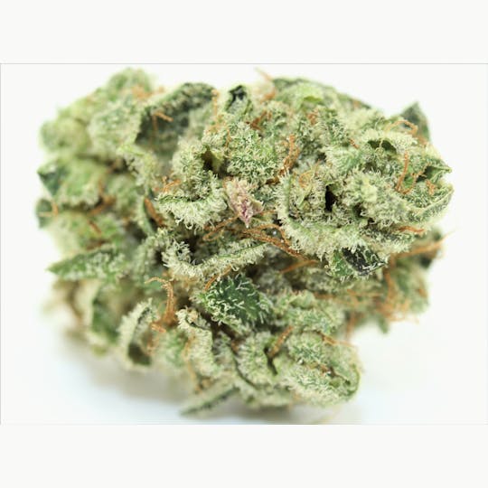 Elevation 207 - Strawberry Glue *Ultra Premium - 1