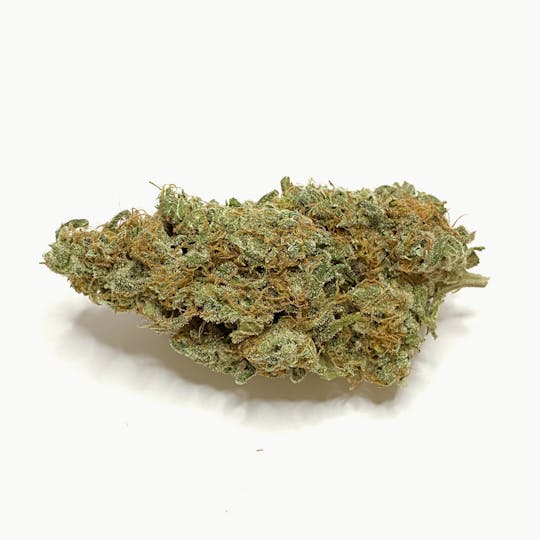 High Striker Farm - Chocolope Newberry - 1