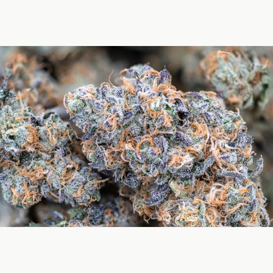 Crux Cannabis - Dog Walker - Ice Cream Cake .75g - 1