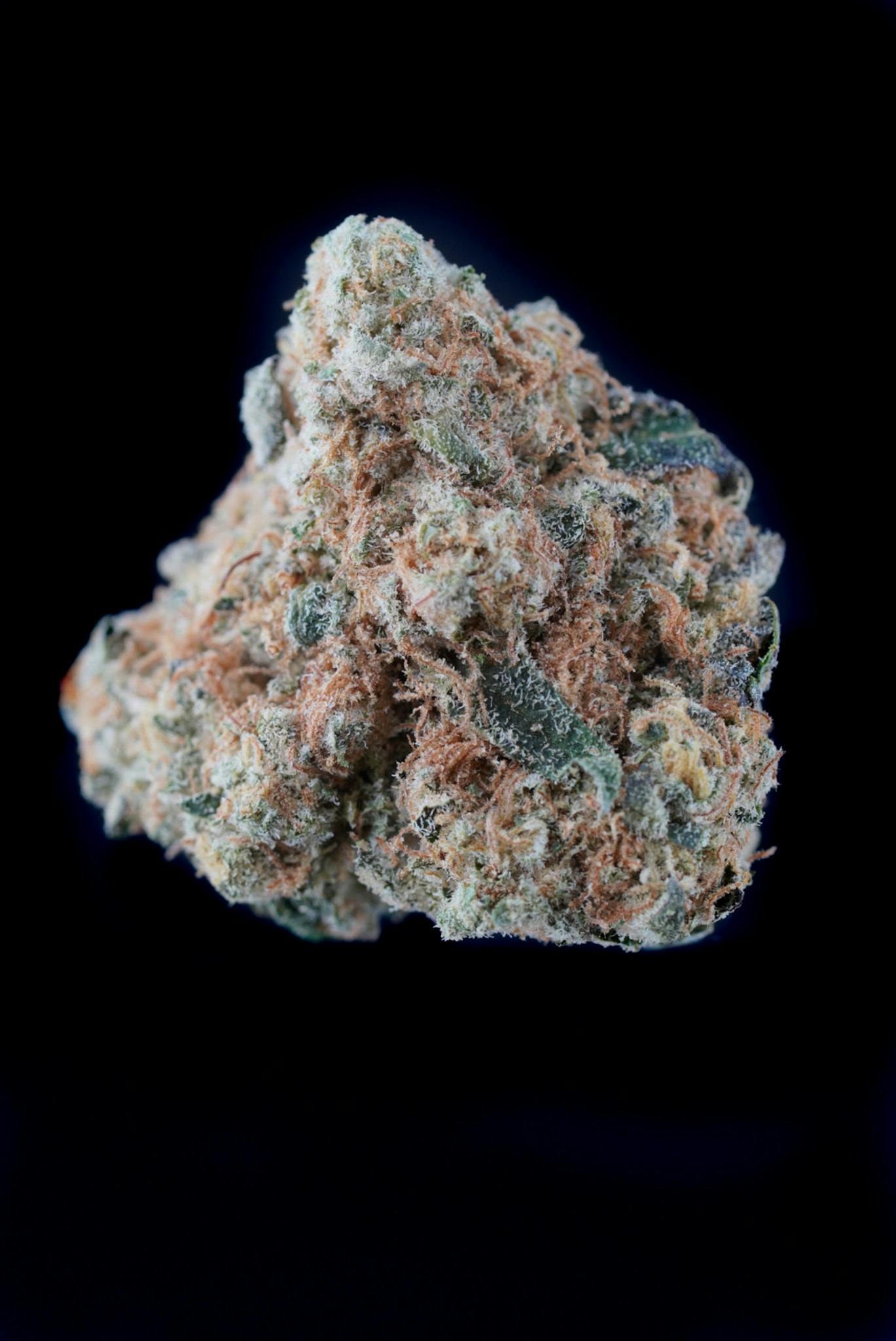 Lucky Lion - Champagne Cake - 1