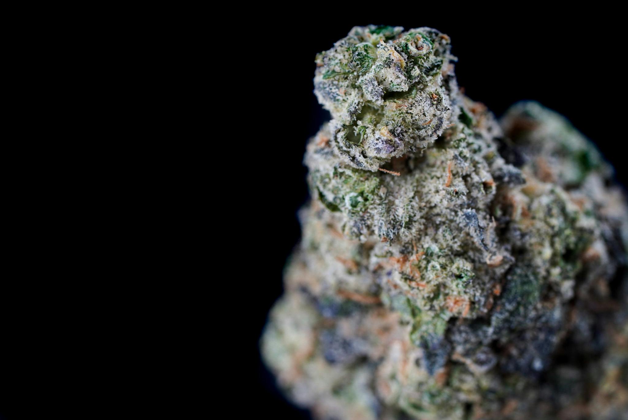 Lucky Lion - Kush Mints - 1