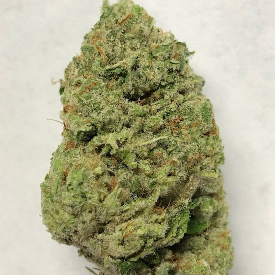 Iron Lung (Medical) - Big Block - 1