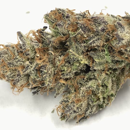 Iron Lung (Medical) - Sour 98 - 1