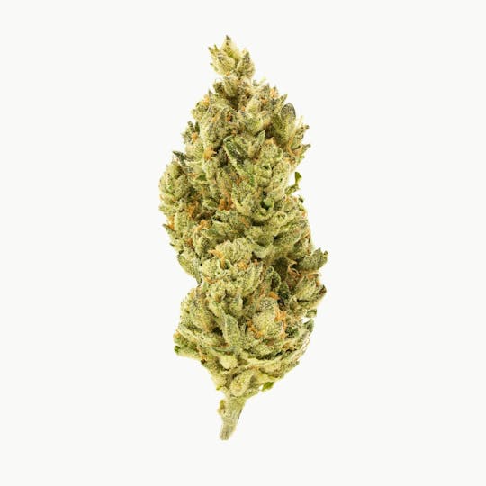 Flow Kana - 501st OG by Elysian Fields | Gold - 1