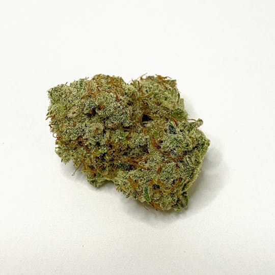Indico - Jim Kelly - 1