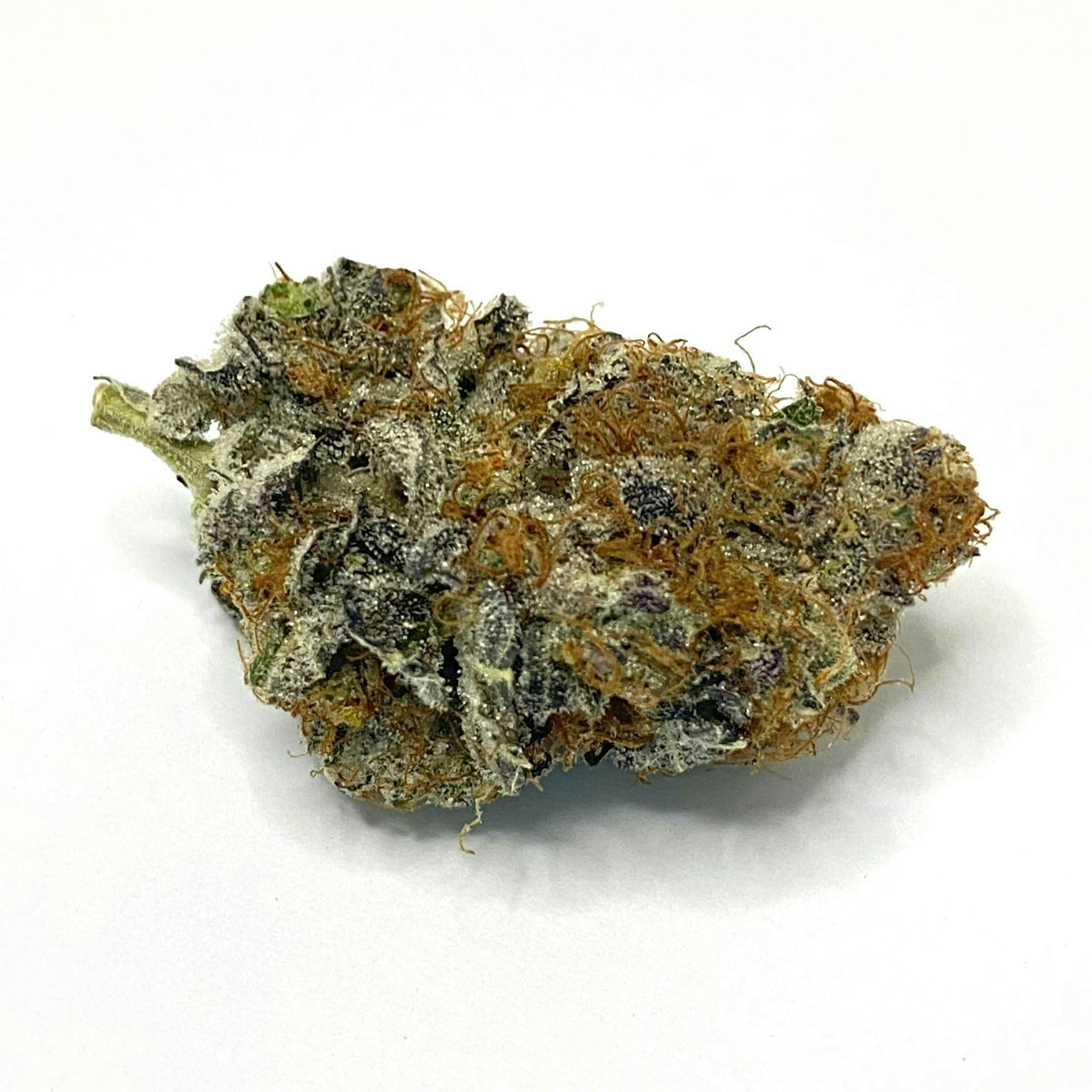 Indico - Black Banana - 1