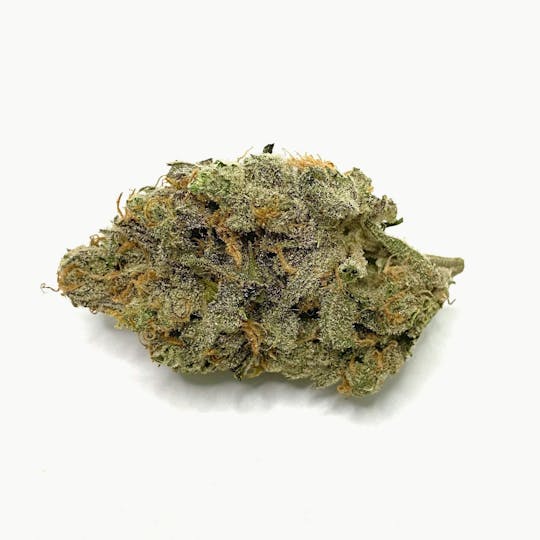 Indico - Dreamweaver - 1