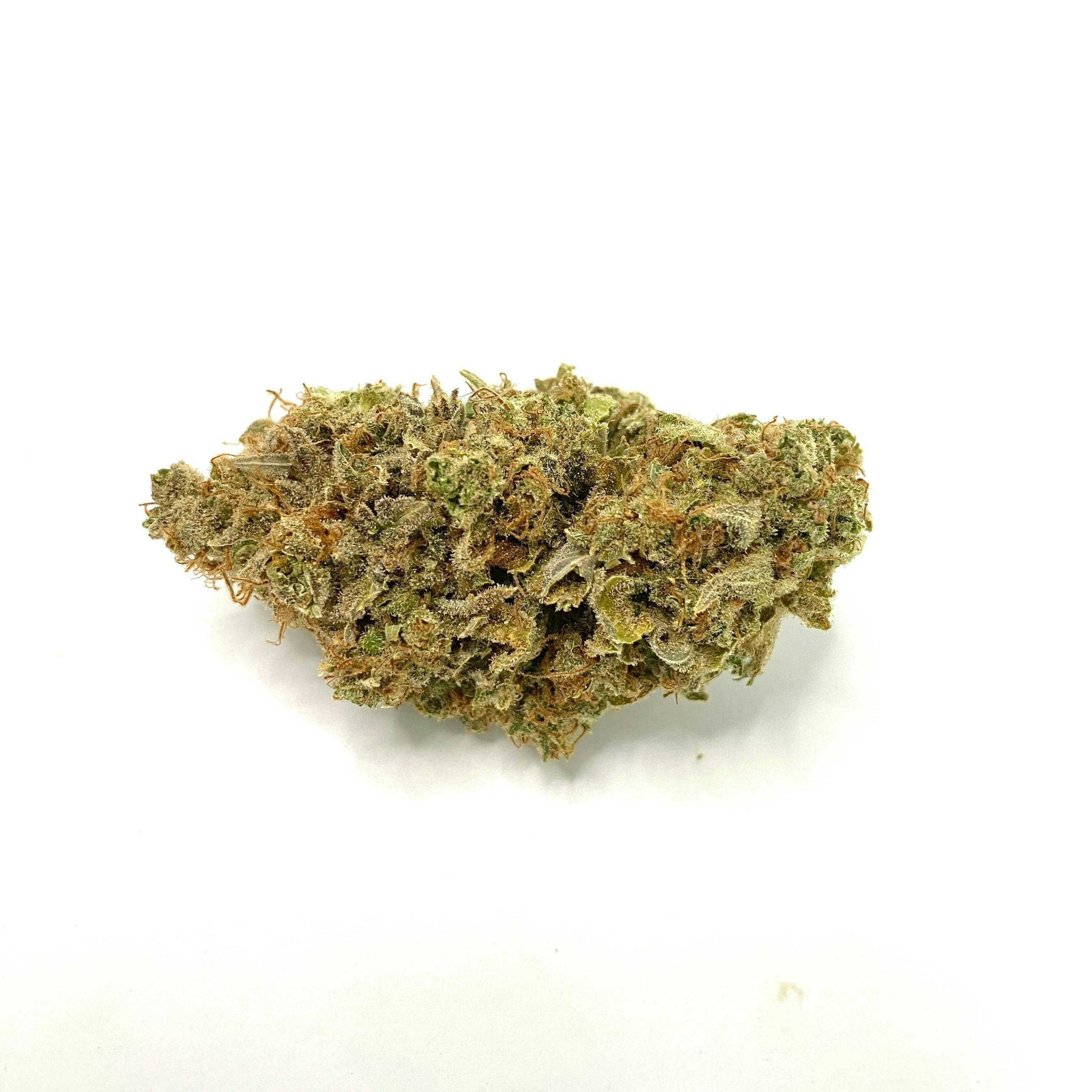 Indico - Pineapple Mimosa - 1