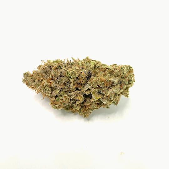 Indico - Pineapple Mimosa - 1