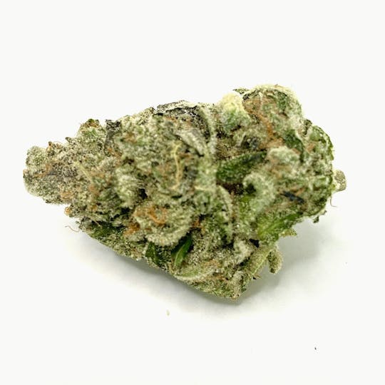 Indico - Slyme Cookies - 1