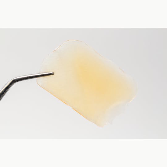Natty Rems - CRx Refined Shatter - 1
