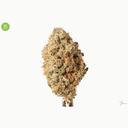 Natty Rems - Wedding Cake Flower - 1