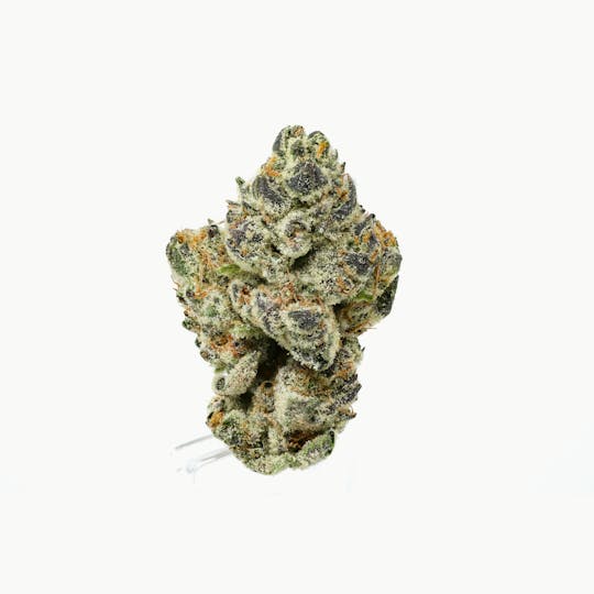 Natty Rems - Dosidos Flower - 1
