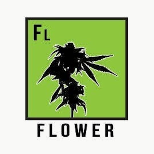 Natty Rems - Vader OG Flower - 1