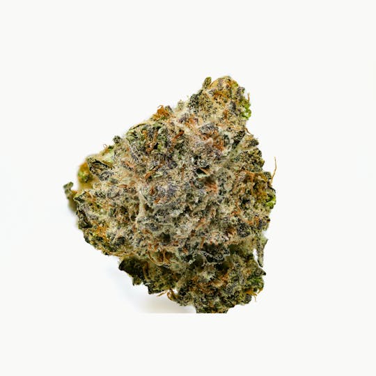 Natty Rems - Member Berries - 1
