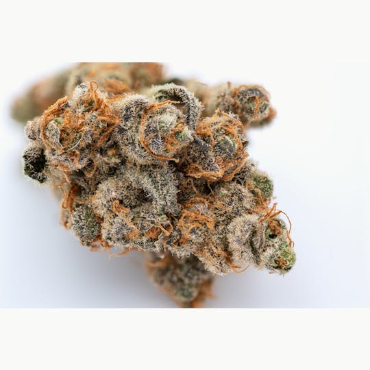 Crux Cannabis - Bananium Flower - 1
