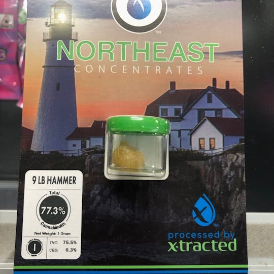 Refine New England (Medical) - 9 LB Hammer Northeast - 1