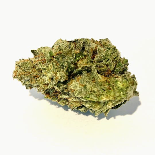 Indico - Blue Zkittlez - 1