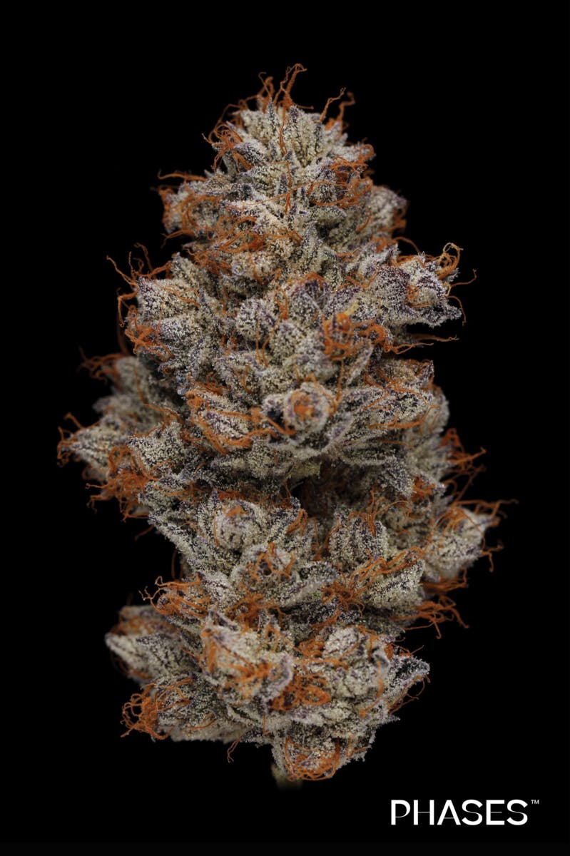PHASES - Phases | Retrograde | Delight | Big Buds | 3.5g - 1
