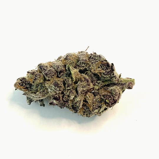 Indico - Tropicana Cookies - 1