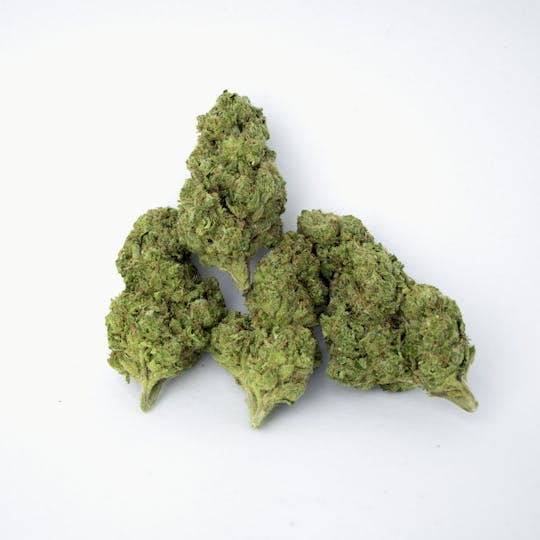 Old Pal - Old Pal Special Blue - Indica - THICC - 1