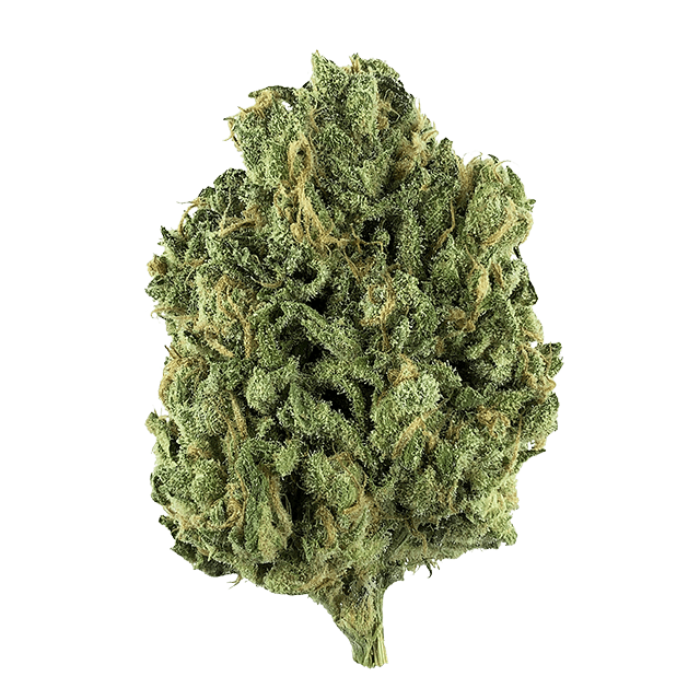 Lume Cannabis Co. - Blue Dream Flower - 1