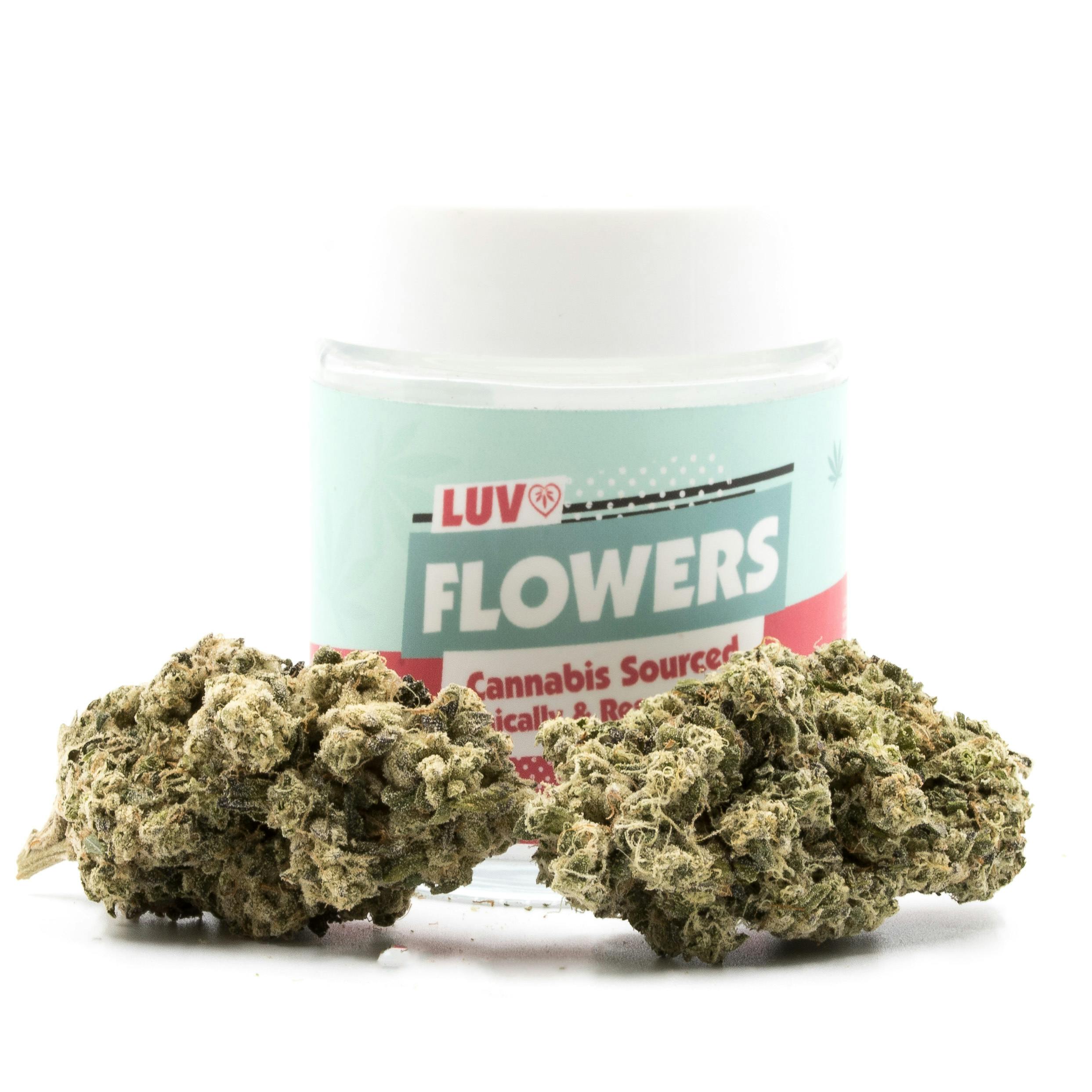 LUV Brands - Glucci - 1