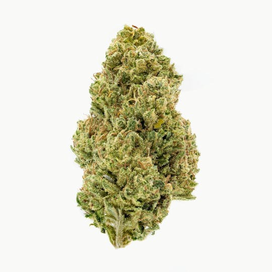 Flow Kana - 13 Jacks Mini Prerolls - 1