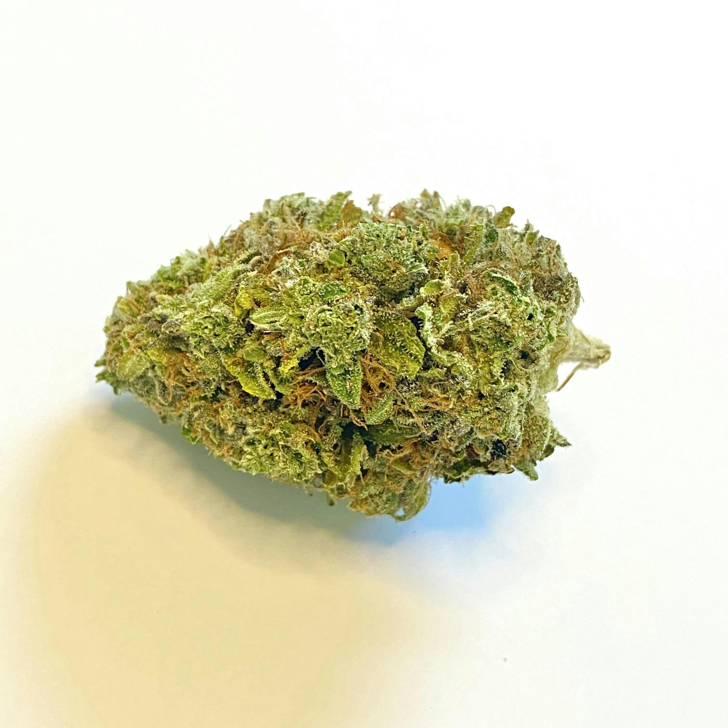 Indico - OG #18 - Mainely Dope - 1