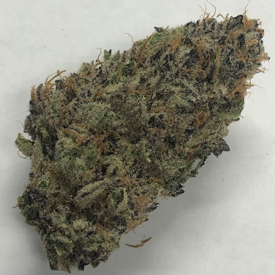 Iron Lung (Medical) - Chem Danza - 1