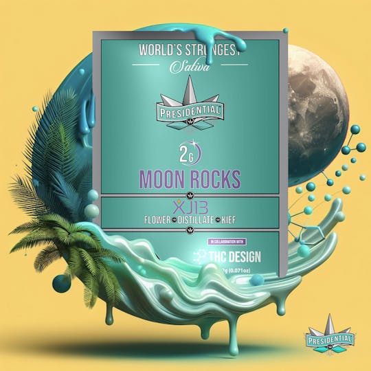 Presidential - Presidential Moon Rocks - XJ-13 (2g) - 1
