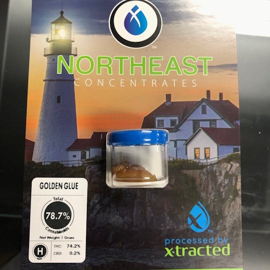 Refine New England (Medical) - Golden Glue Northeast - 1