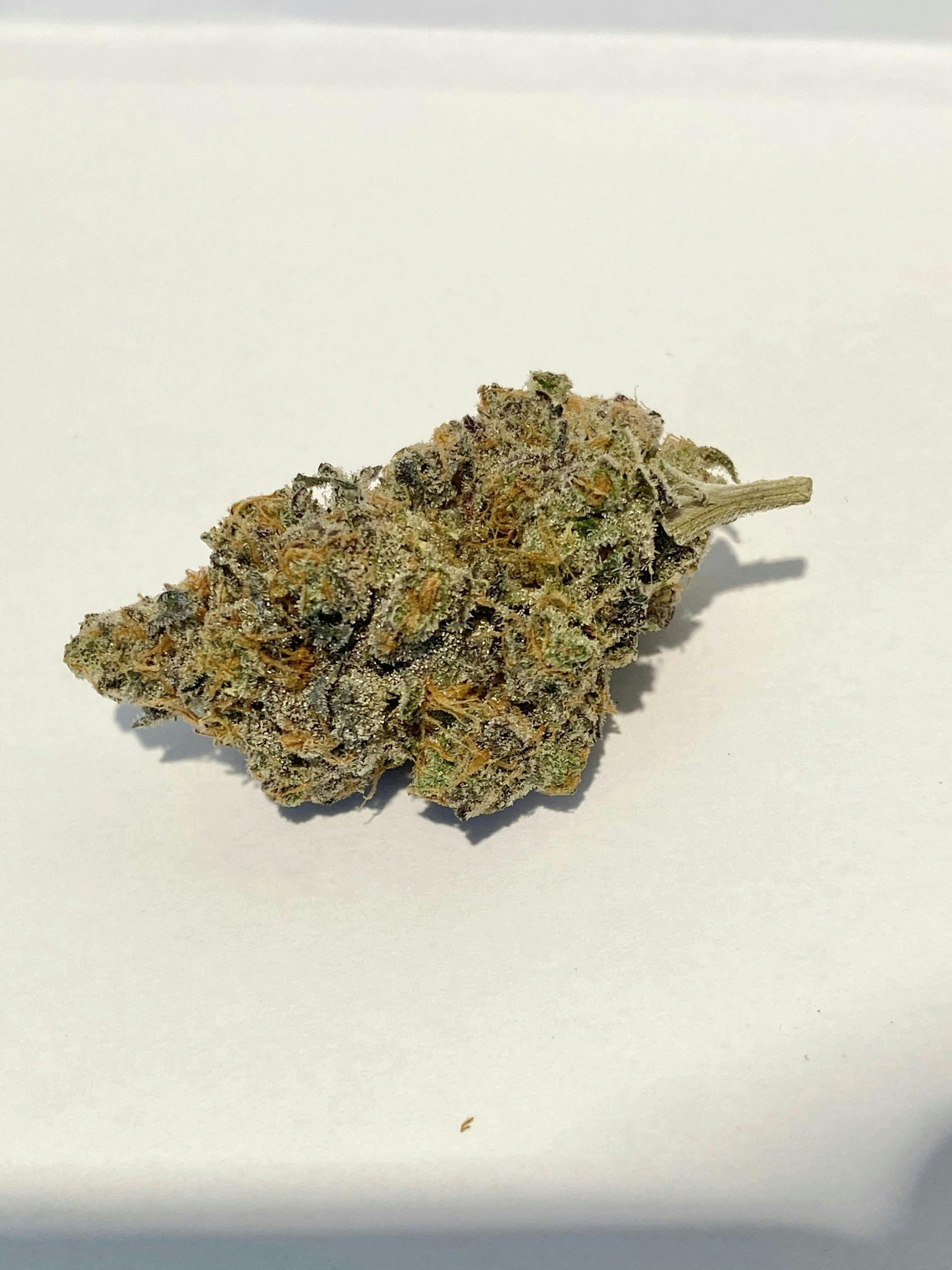 Indico - Purple Zkittles - Fuzzy Roots Organics - 1