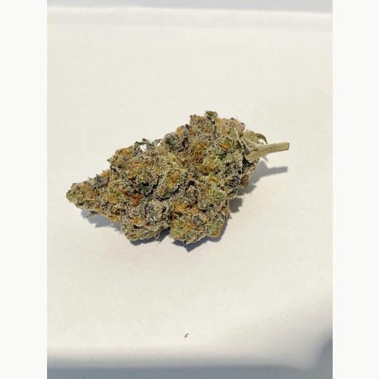 Indico - Purple Zkittles - Fuzzy Roots Organics - 1