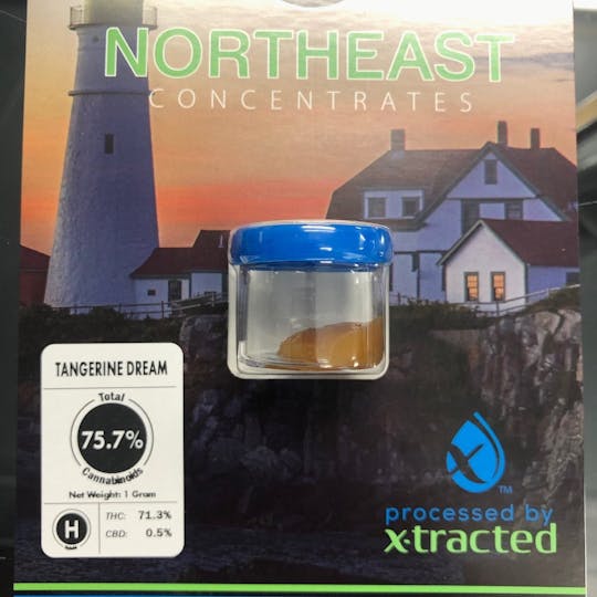 Refine New England (Medical) - Tangerine Dream Northeast - 1
