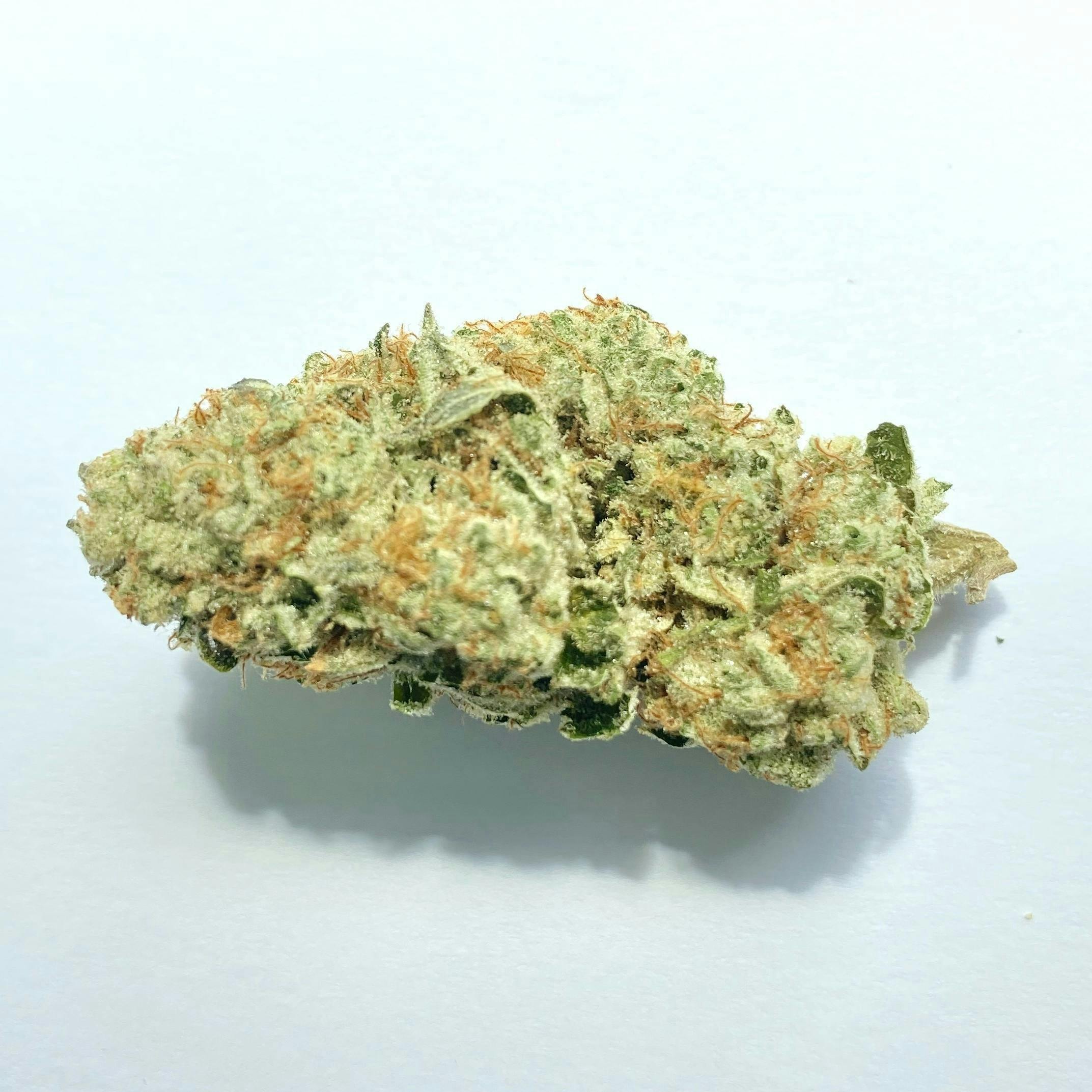 Indico - Platinum Punch - 1