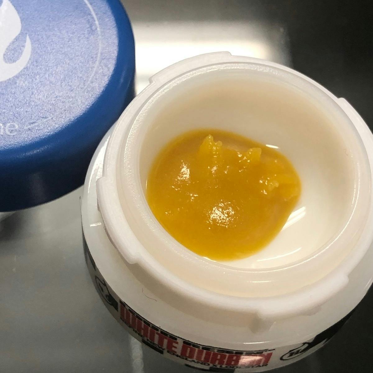 Refine New England (Medical) - White Durban Loud Resin - 1