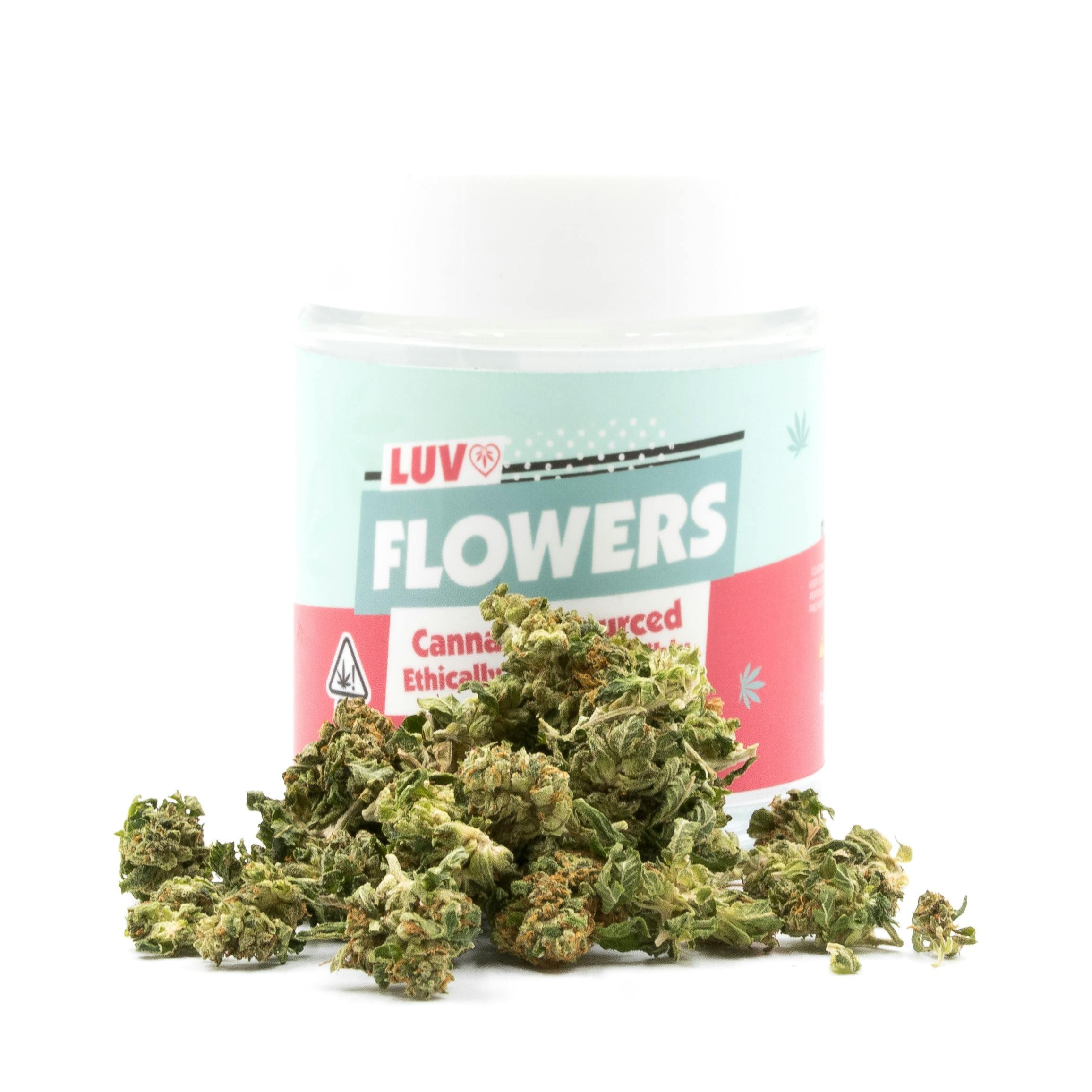 LUV Brands - Blue Cookies - SunGrown - 1