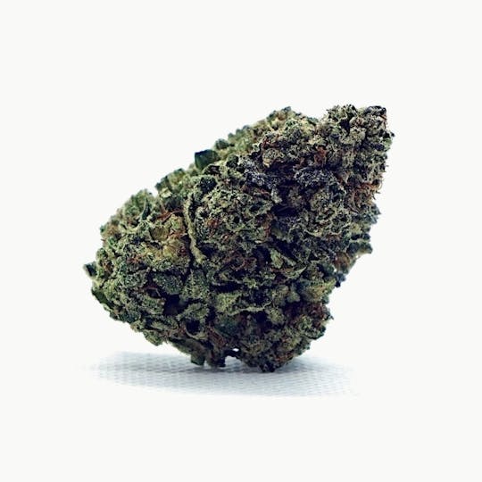 High Tide Organics - Blue Wave - 1