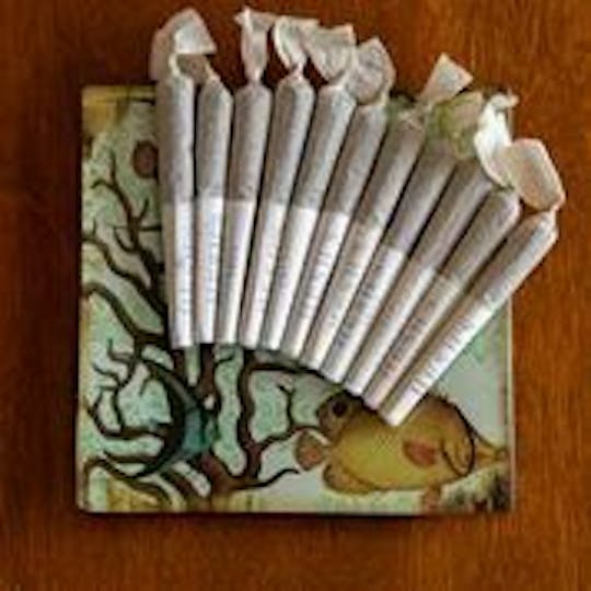 Hesh's 1913 - Let Them Eat Cake (Hybrid) - 1
