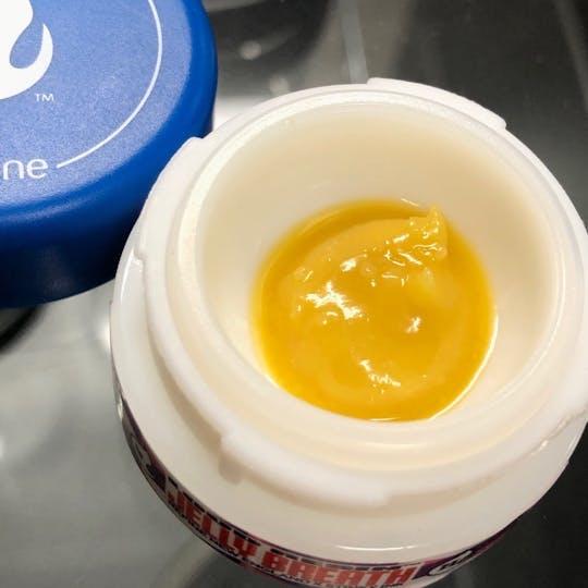 Refine New England (Medical) - Jelly Breath Loud Resin - 1