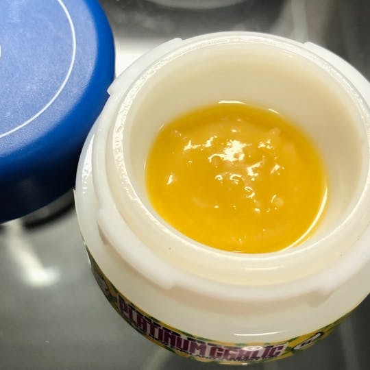 Refine New England (Medical) - Platinum Garlic Loud Resin - 1