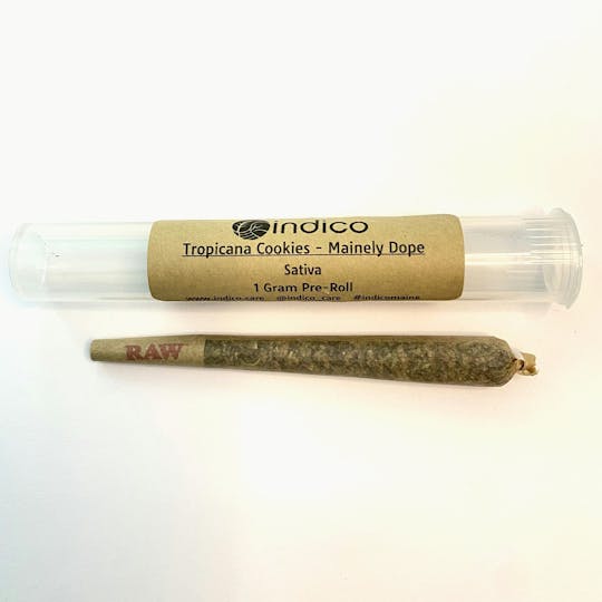 Indico - 1g Pre-Roll - Tropicana Cookies - 1