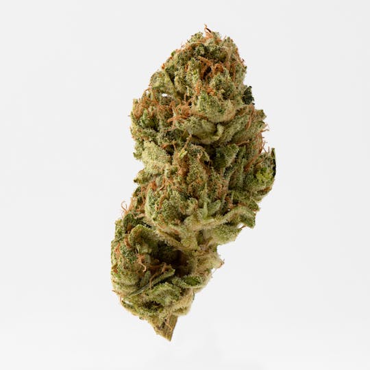 Brigid Farm - Blue Gorilla #4 - 1