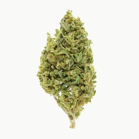 Flow Kana - Equinox 1g Preroll - 1