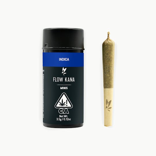 Flow Kana - Grape Magma Mini Prerolls - 1