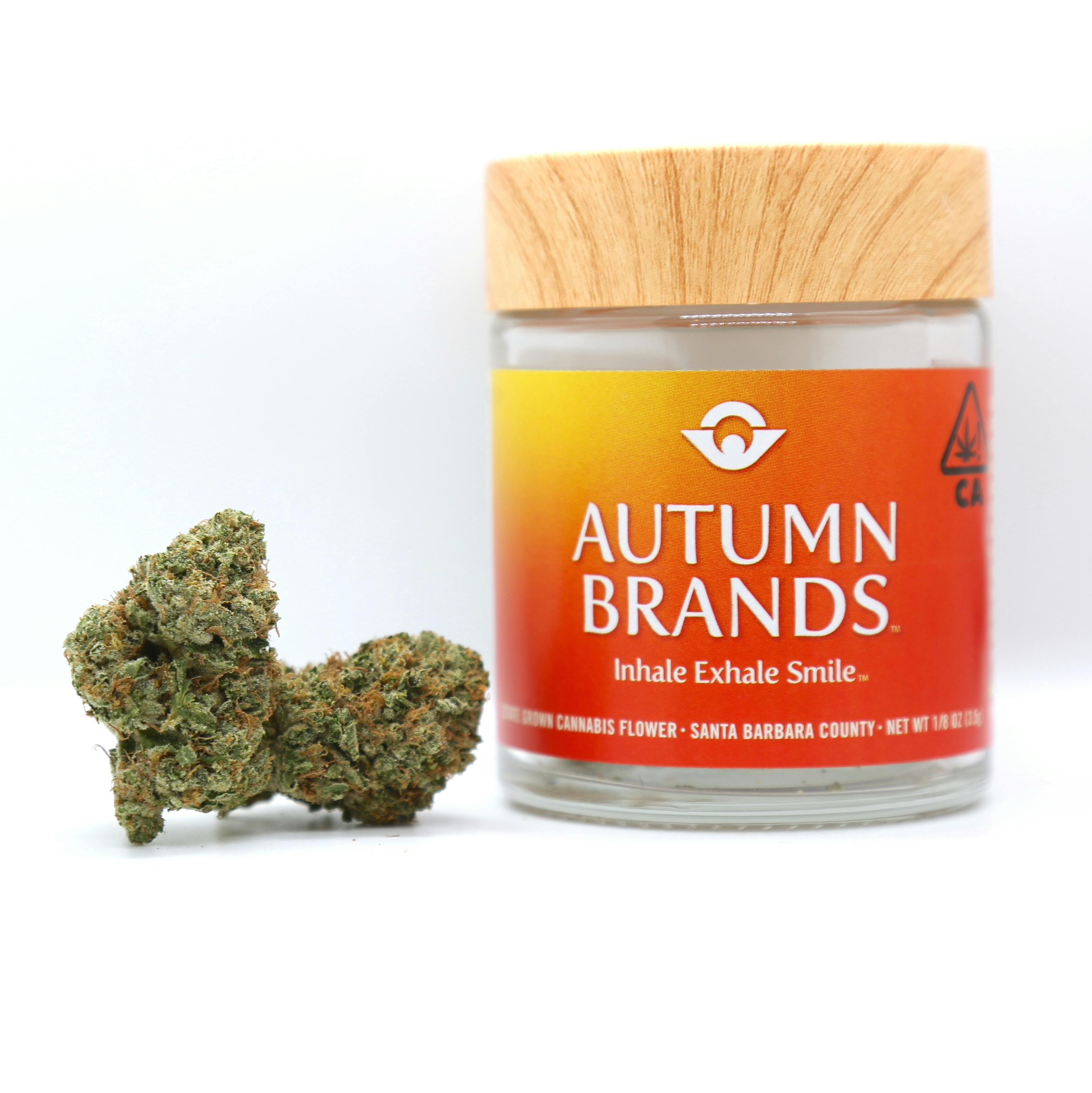 Autumn Brands - Sundae Strudel - 1